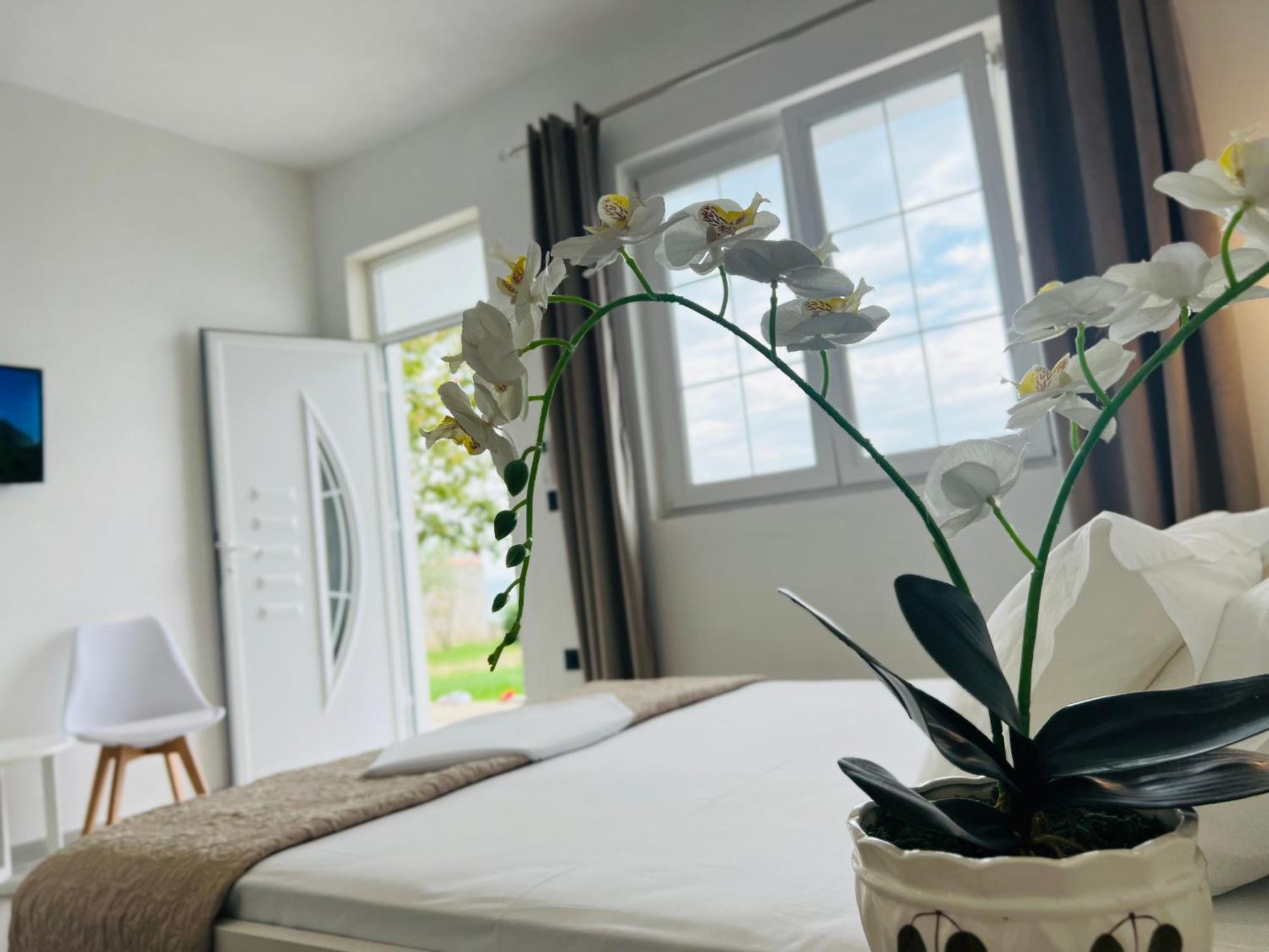 Iart Residence Shiroka Ngoại thất bức ảnh